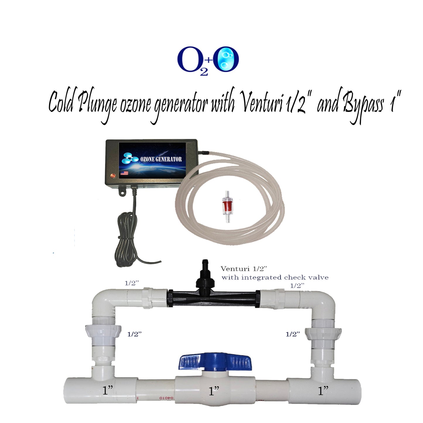 Cold plunge Ozone generator for air, water and oil ozonation purification. 1000mg/h